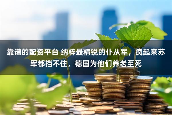 靠谱的配资平台 纳粹最精锐的仆从军，疯起来苏军都挡不住，德国为他们养老至死