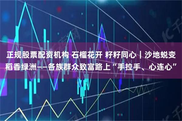 正规股票配资机构 石榴花开 籽籽同心｜沙地蜕变稻香绿洲——各族群众致富路上“手拉手、心连心”